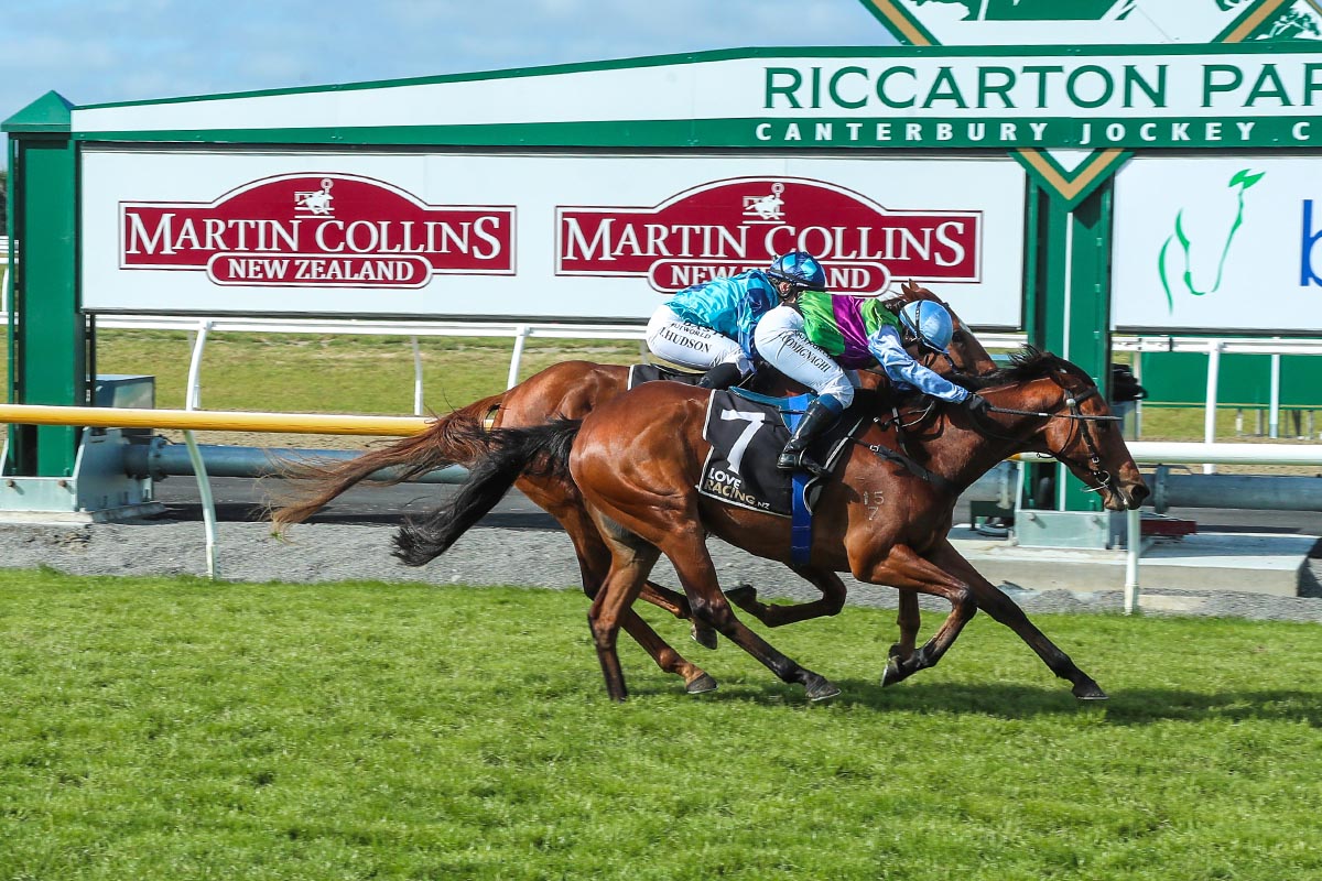 Riccarton Park Races Cup & Show Week 2023